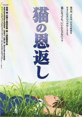 《猫的报恩》：治愈系神作！溶解所有烦恼，找回与世界的联系。
