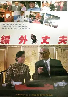 《编外丈夫》：不是你想的那样！这部犯罪片反转到你怀疑人生！海报