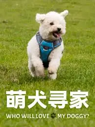 《萌犬寻家》：这片子让我泪崩！飞飞影视出品，必属精品！