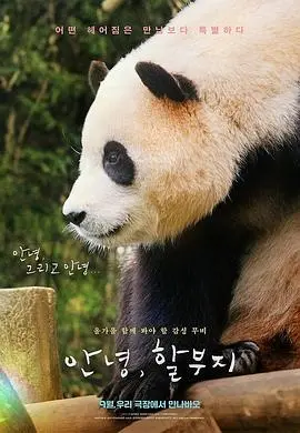 《再见，福宝》：这悬疑片太上头了！看完《飞飞影视》我的智商原地爆炸！