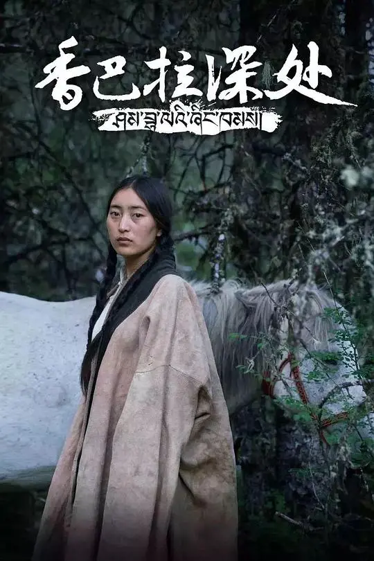 《香巴拉深处》：光怪陆离的暗杀风暴，藏区奇案的终极悬疑，这趟旅程注定九死一生！