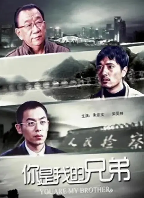 《你是我的兄弟》：催泪兄弟情深，全程高能！这才是真正的血脉羁绊！